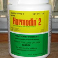 Hormodin 2- Rooting Hormone  1 LB Tub