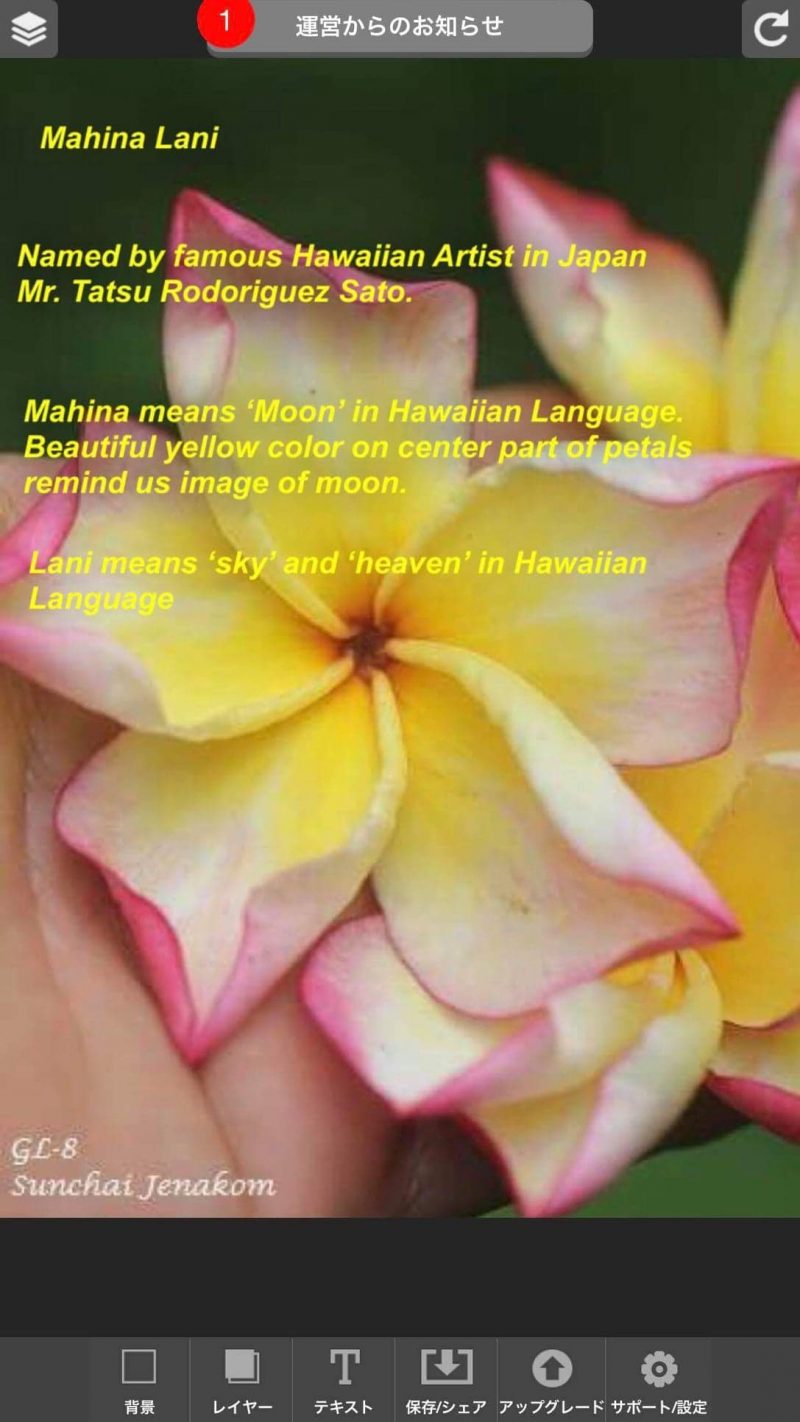 Mahina Lani - Image 2